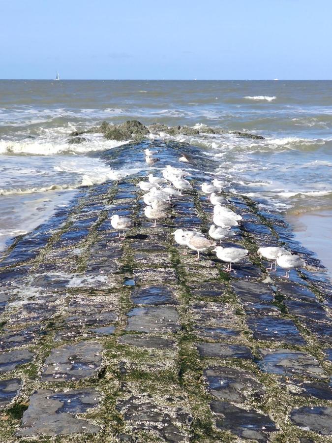 Seabreak4You Bredene Zewnętrze zdjęcie